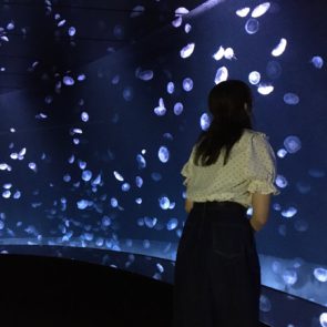 サンシャイン水族館新エリア「海月空感」で癒しのひと時を♡